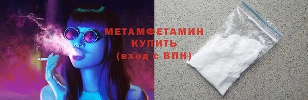 прущие грибы Новодвинск