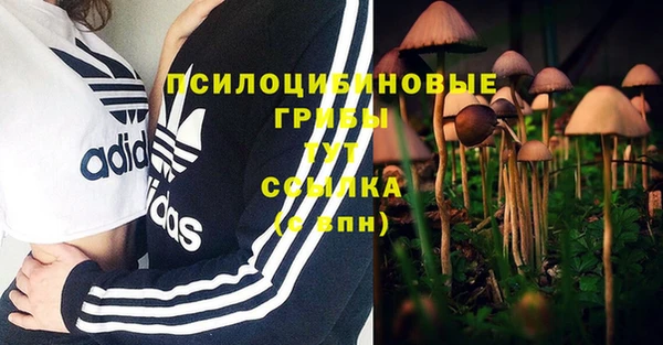 прущие крисы Нязепетровск