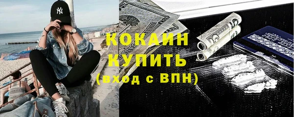 прущие грибы Новодвинск