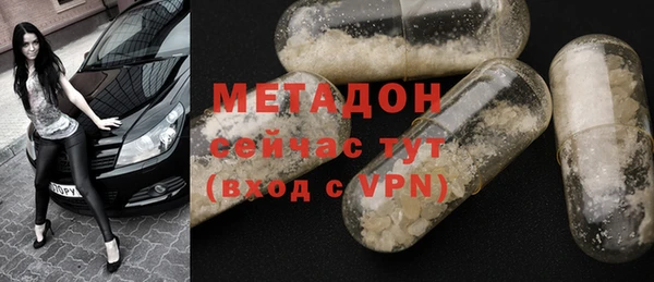 прущие грибы Новодвинск