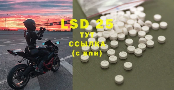ГАЛЛЮЦИНОГЕННЫЕ ГРИБЫ Няндома