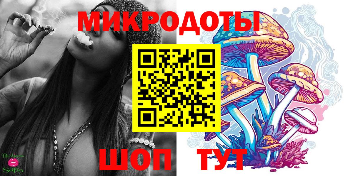 Михайловск  Псилоцибиновые грибы Cubensis  Вход с VPN 